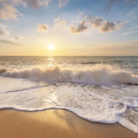 Wijde Blick 1.11 - Aan Zee * קלאנטסהוך