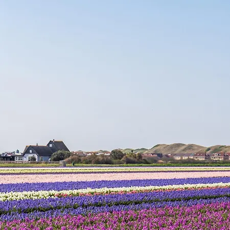 Wijde Blick 1.11 - Aan Zee * Callantsoog
